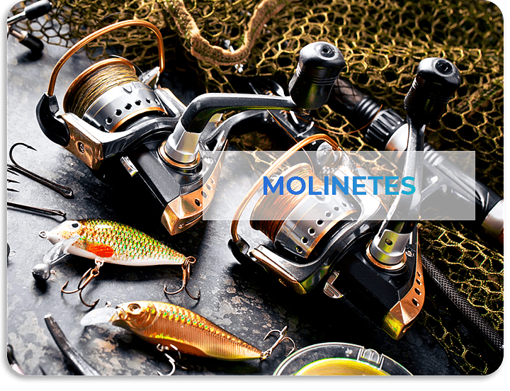 Molinete-M.png
