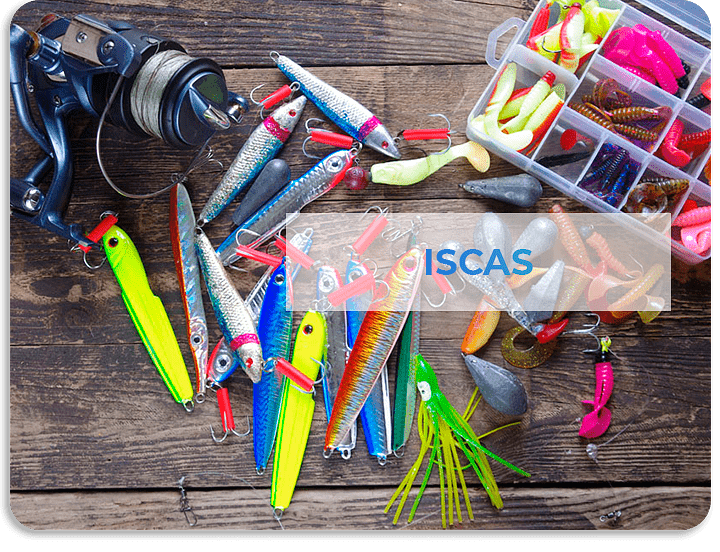 Isca-M.png