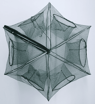 Covo Armadilha Para Camarão Lambari 6 entradas