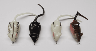 Isca Artificial Rato